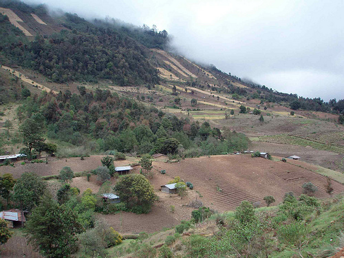 Сельское хозяйство в Гватемале