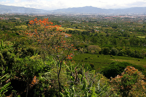 Лесистая местность Коста Рики