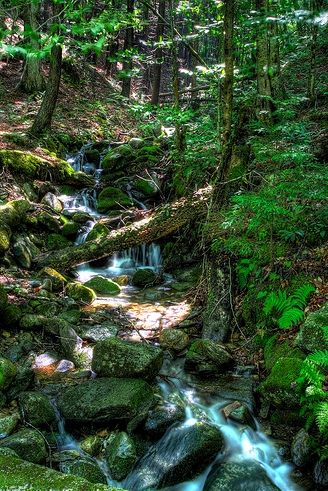 Водопад в горах Ямайки