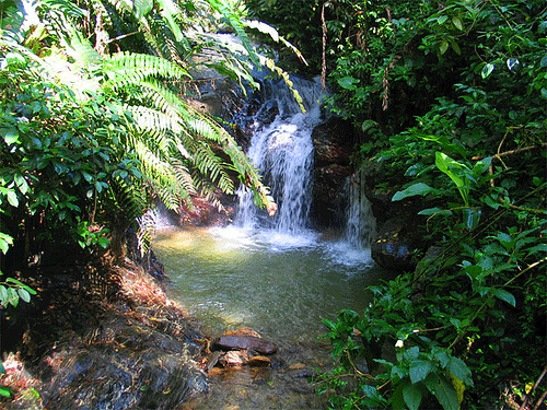 Водопад в Тринидад и Тобаго