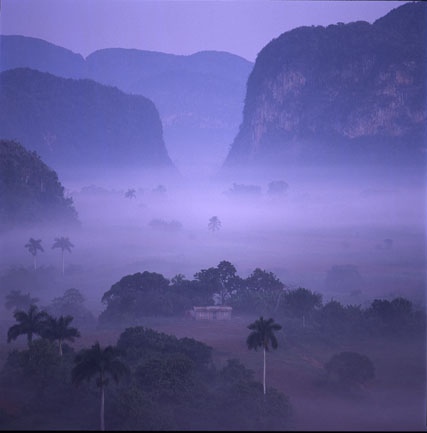 Туман в горной местности Кубы