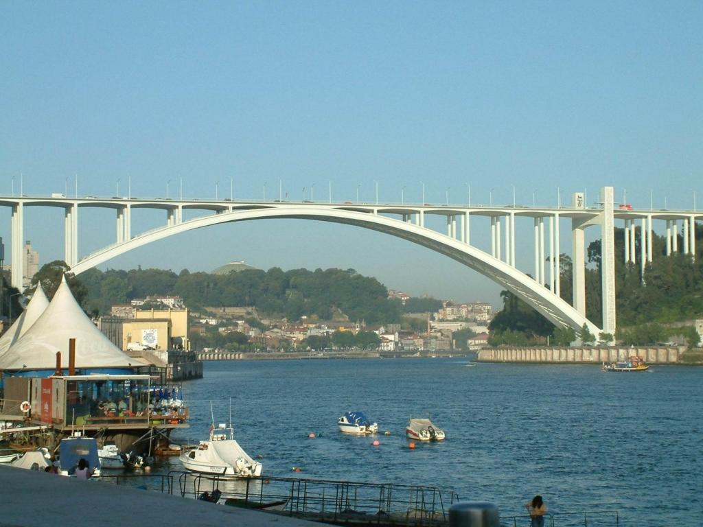 Arrabida_Bridge-1.jpg