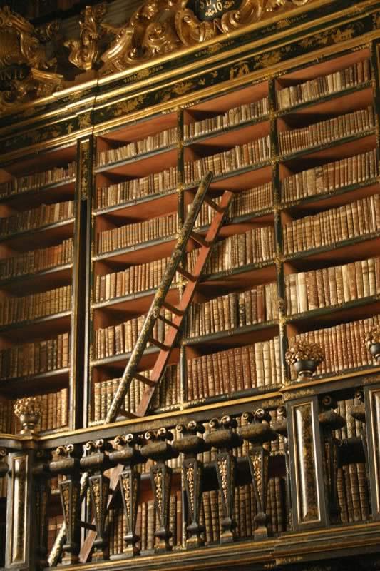 1000 Медицинских книг от Ихтики скачать бесплатно и без регистрации.