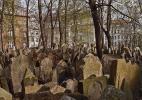 Старе еврейское кладбище Старе еврейское кладбище