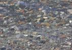 Чистейшая севанская вода Чистейшая севанская вода
