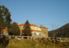 Амаранте Амаранте