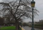 Изысканная пустота Изысканная пустота