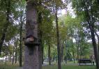 И в птичьем домике есть чем полакомиться И в птичьем домике есть чем полакомиться