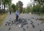 Меня полюбили не только белки, но и голуби:) Меня полюбили не только белки, но и голуби:)