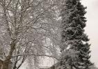 Снежный день Снежный день