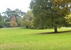 Париж гостиница park montsouris