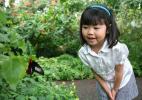 Сад Бабочек в Таиланде