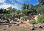 руины Карфагена