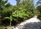 Ботанический сад Сухими - идилия природы 