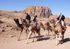 Бедуины на верблюдах