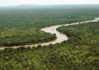 Вид сверху. Национальный парк «Река Гамбия». Гамбия.
