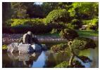 Японский сад во Вроцлаве