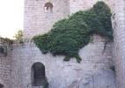 Средневековый замок Бернштайн в Австрии