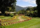 Королевский ботанический сад в Перадении возле города Канди в Шри-Ланке