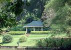 Королевский ботанический сад в Перадении возле города Канди в Шри-Ланке