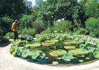 Ботанический сад Любляны в Словении