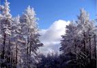 Декабрь
