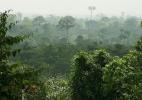 Вид на парк. Национальный парк Какум, Кейп-Кост, Гана