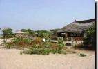 Национальный парк Ниуми, Банжул, Гамбия