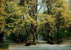 Парк Стефана Великого в городе Кишинёве в Молдавии