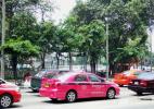 веселенькие розовые такси