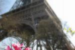 Апрель в Париже